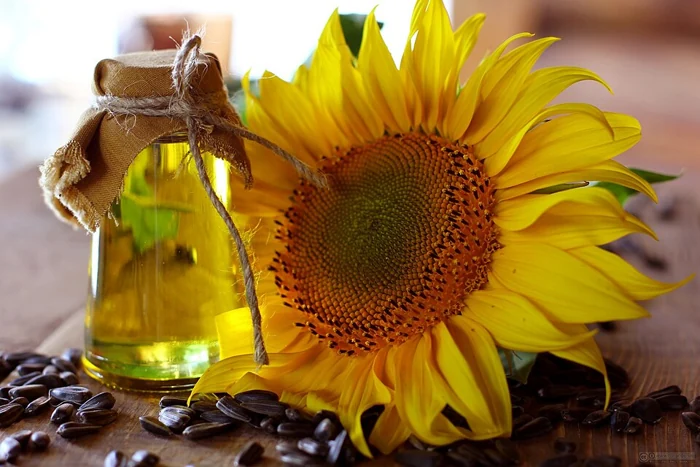Vegetable Oil 4L